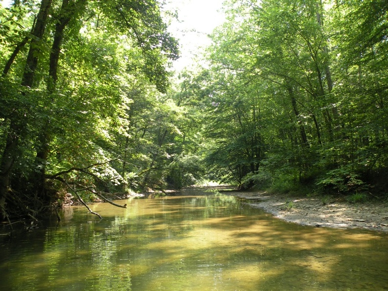 Gladie Creek, Red River Gorge